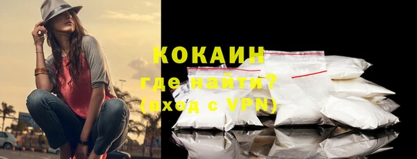индика Кинешма