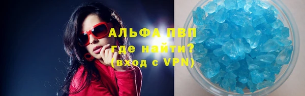 индика Кинешма